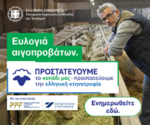 Ad Banner