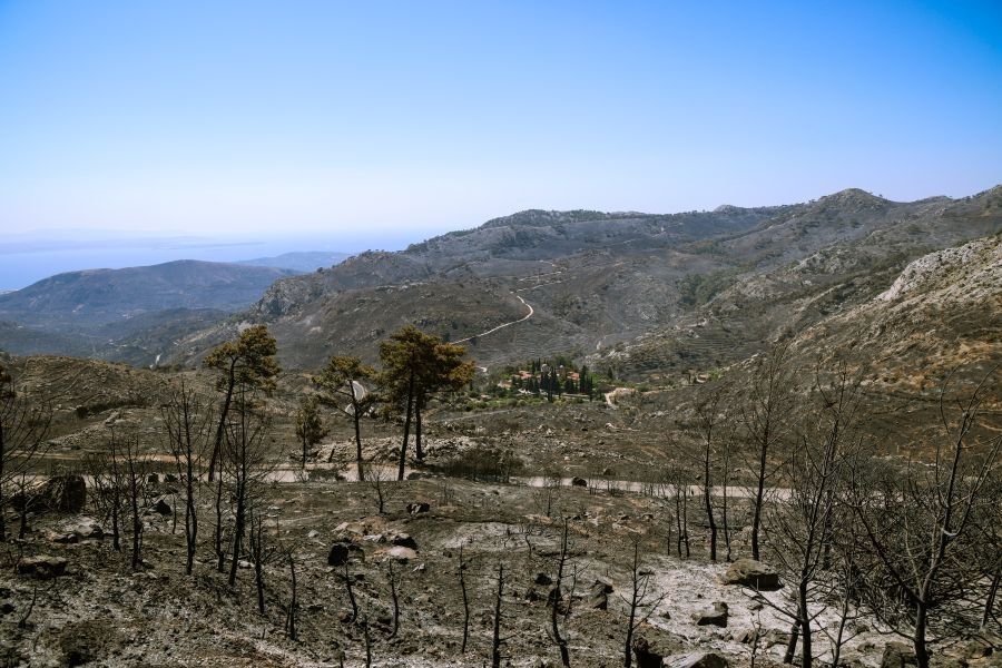 xios-fotia4.jpg