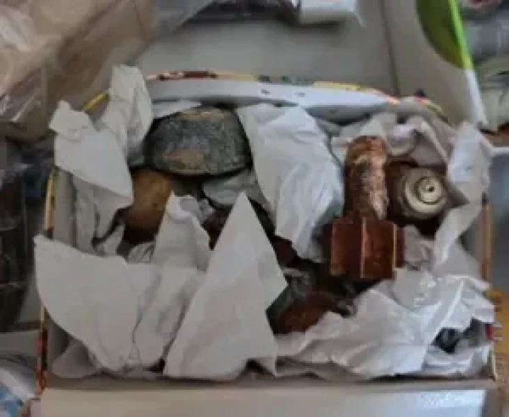 26082025aneuresh1-300x246.webp