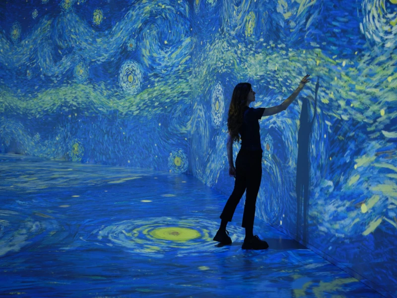 20230620-vangoghexp-wall-starrynight-1581-basse.jpg