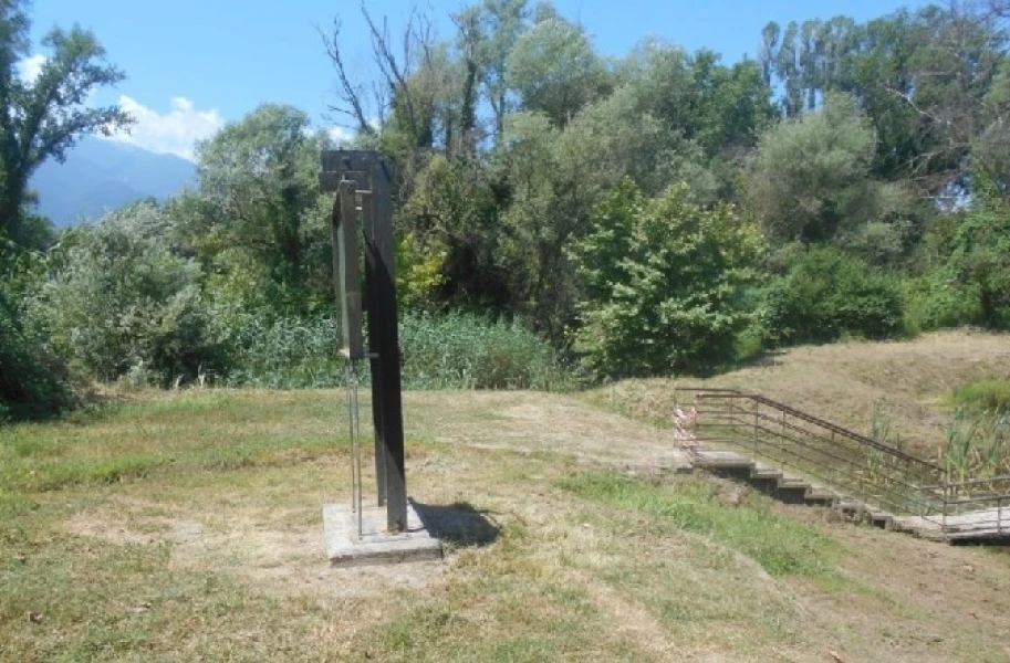 4842450.jpg