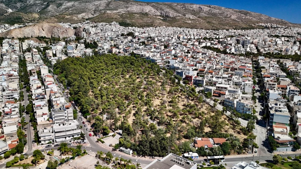 ymittos-alsos-ari-aleksandroy1.jpg