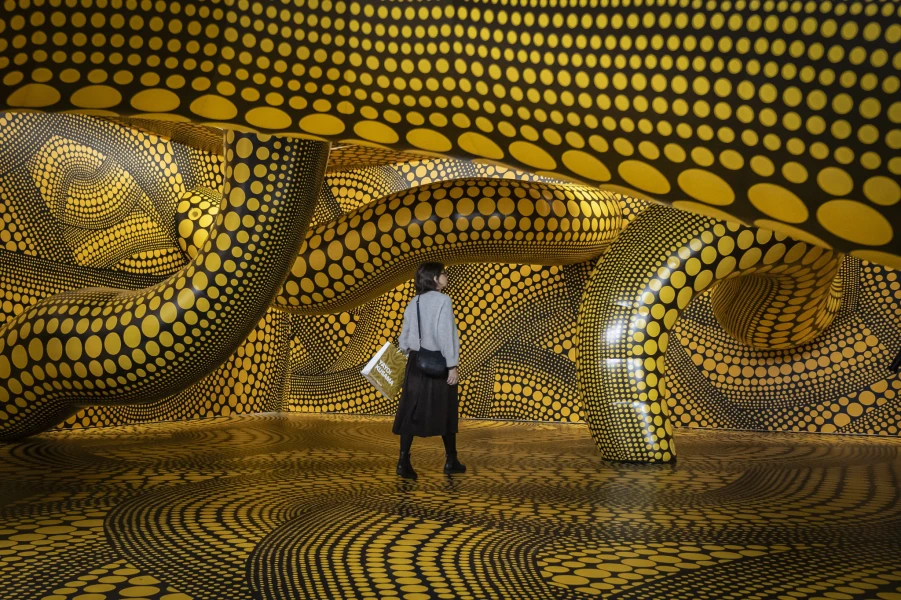 30903697.jpg