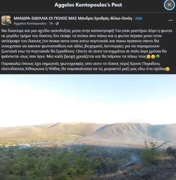 mandra-eidilia-1jpg.webp