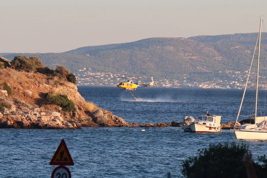 pyrkagia-salamina-11.jpg