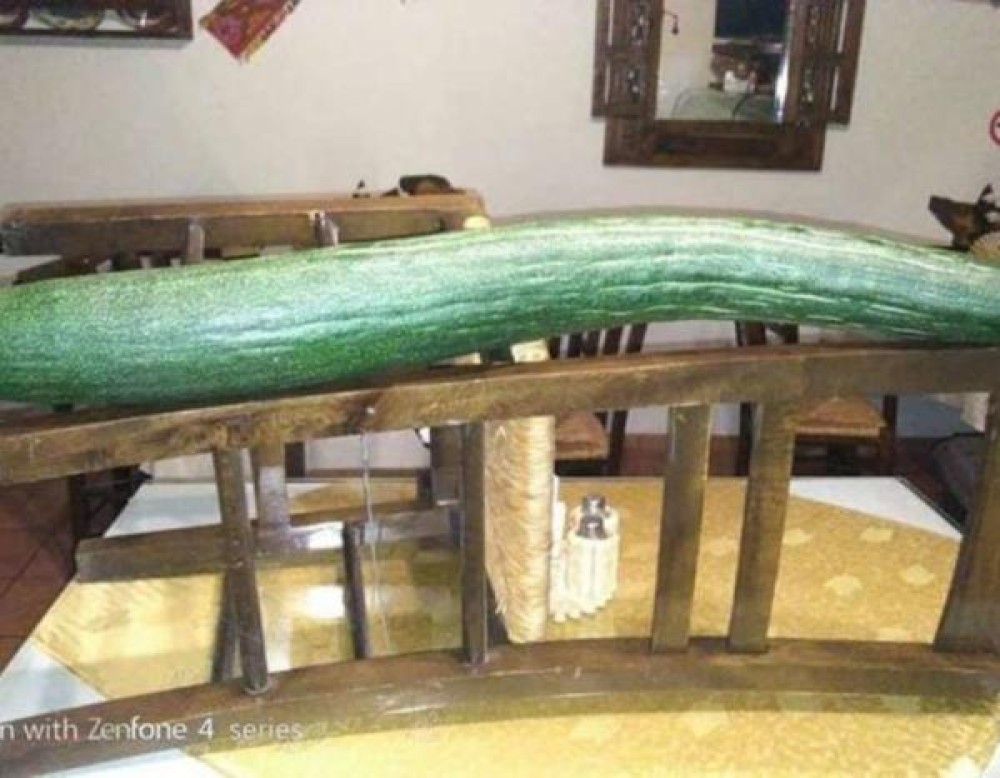 Υπερφυσικό… αγγούρι φύτρωσε στην Κρήτη