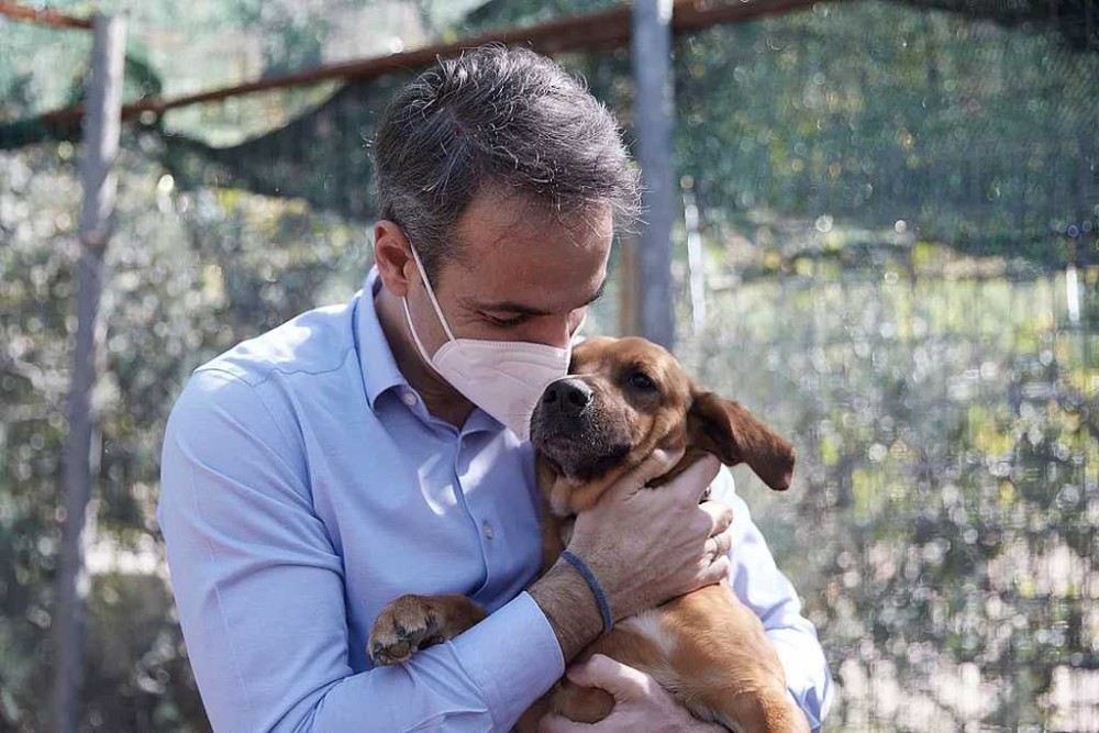 Μητσοτάκης: Η προστασία των ζώων είναι θέμα πολιτισμού