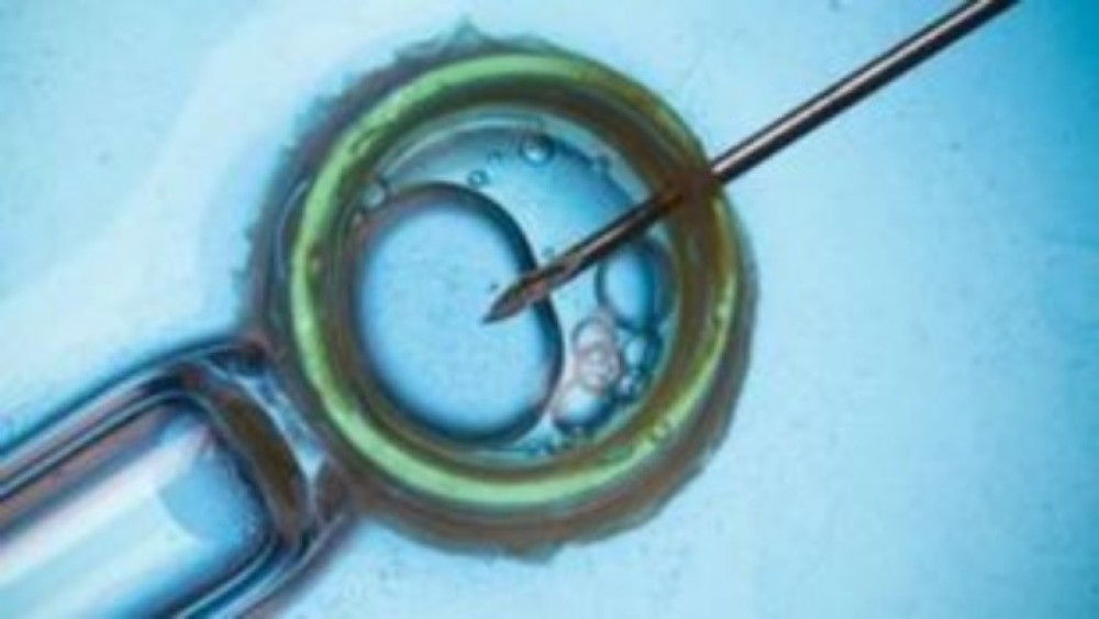 Κορωνοϊός: Τα mRNA εμβόλια δεν βλάπτουν το ανδρικό σπέρμα