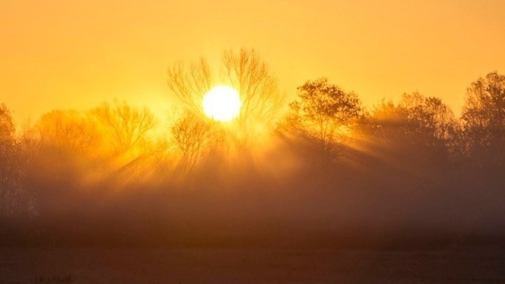 Meteo: Ξεπέρασε τους 40 βαθμούς η θερμοκρασία την Τετάρτη &#8211; Άνοδος την Πέμπτη έως τους 44