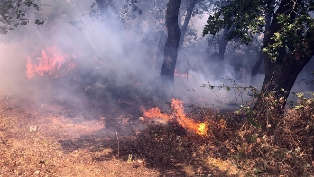 Αλλάζει επικίνδυνα ο καιρός: Ισχυροί άνεμοι 8 μποφόρ-Στο &#8220;κόκκινο&#8221; η μισή Ελλάδα για πυρκαγιές