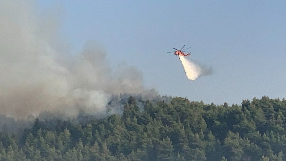 Αρχαία Ολυμπία: Αναζητείται ύποπτος για εμπρησμό στη Δίβρη