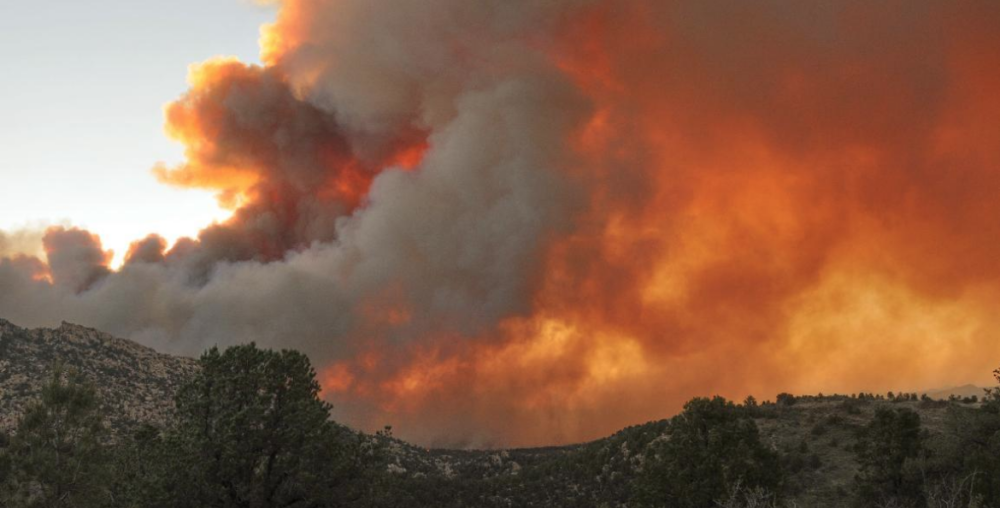 Πέρασε Ελλάδα η πυρκαγιά από την Αλβανία