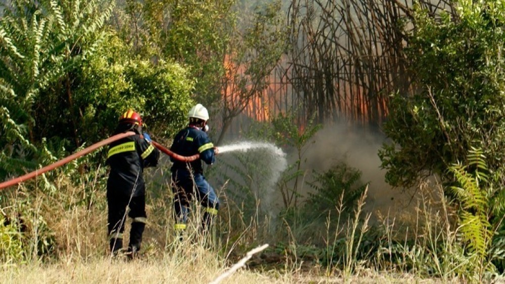 Υπό μερικό έλεγχο η φωτιά στον Παρθενώνα Χαλκιδικής
