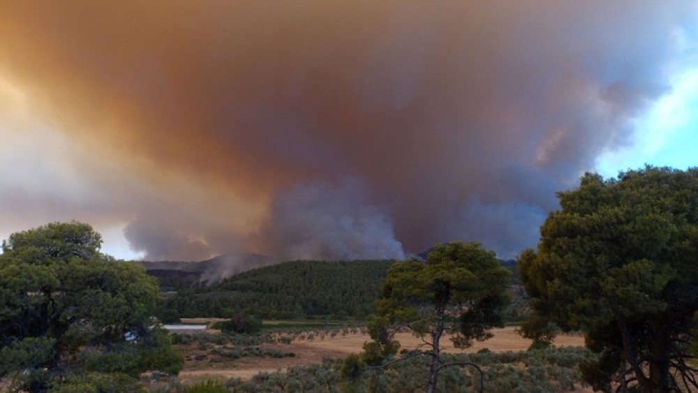 ΥΠΑΑΤ: Ειδικά προγράμματα για ρυτινοσυλλέκτες και μελισσουργούς-Μέριμνα και για τους ελαιοπαραγωγούς