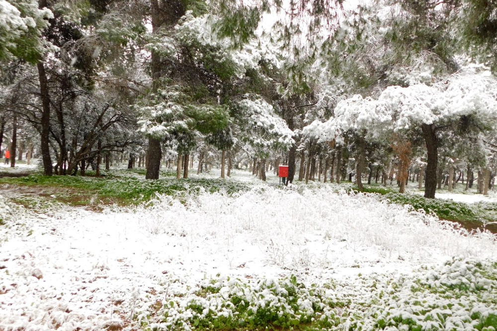 Χαμηλές θερμοκρασίες και παγετός αύριο στη χώρα