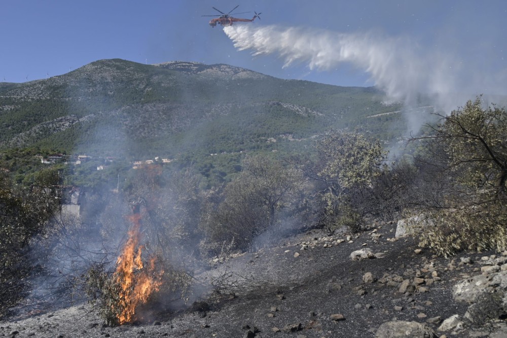 Αναζωπυρώσεις στην Κορυφή Πύργου Ηλείας (VIDEO)