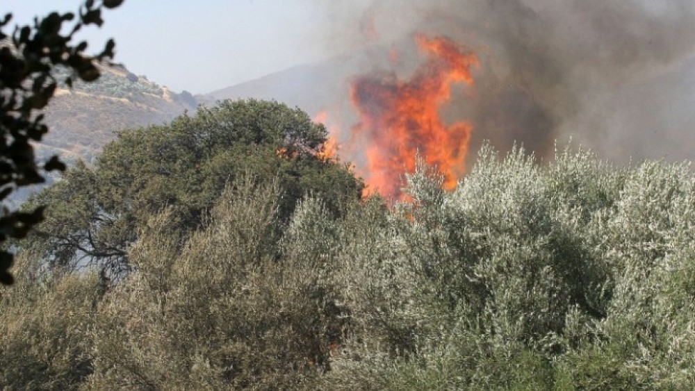 Υπό μερικό έλεγχο η φωτιά στο Ελληνικό Αρκαδίας
