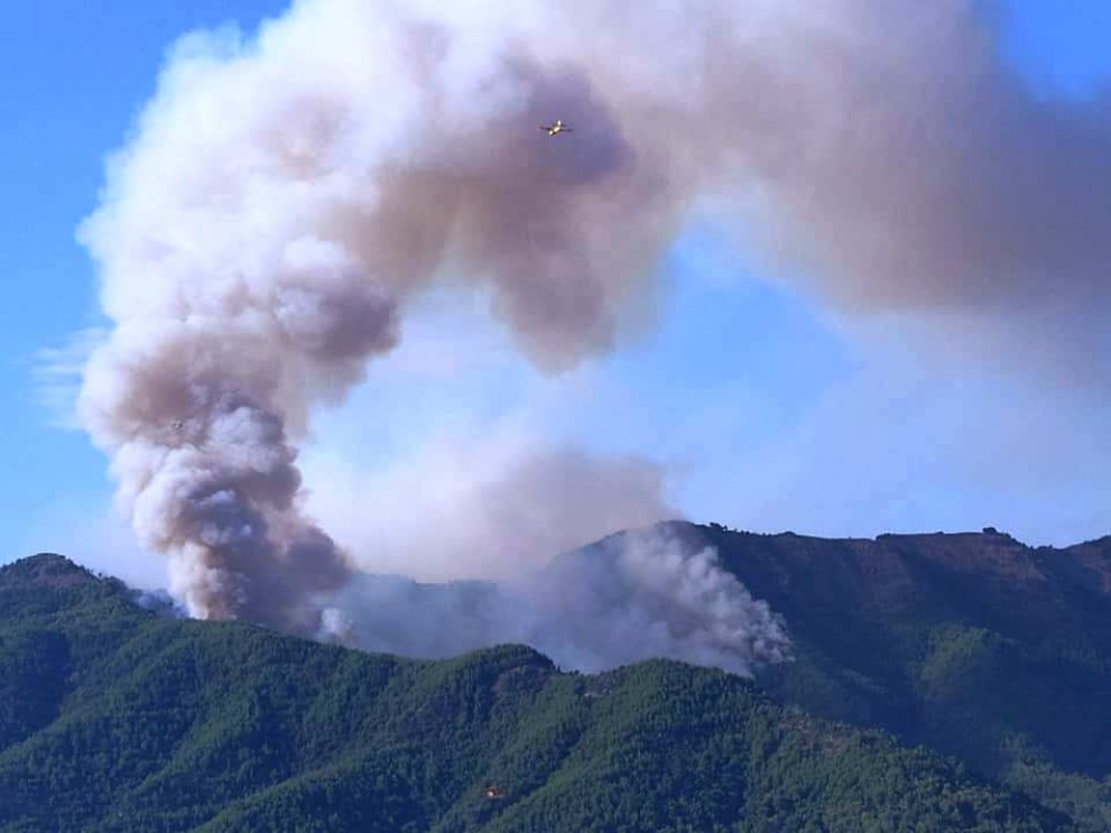 Υπό πλήρη έλεγχο η φωτιά στη Θάσο