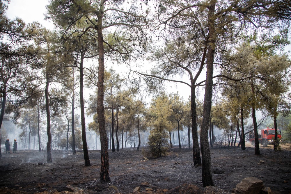 Σέιχ Σου: ραντάρ θα εντοπίζει στο λεπτό τη φωτιά