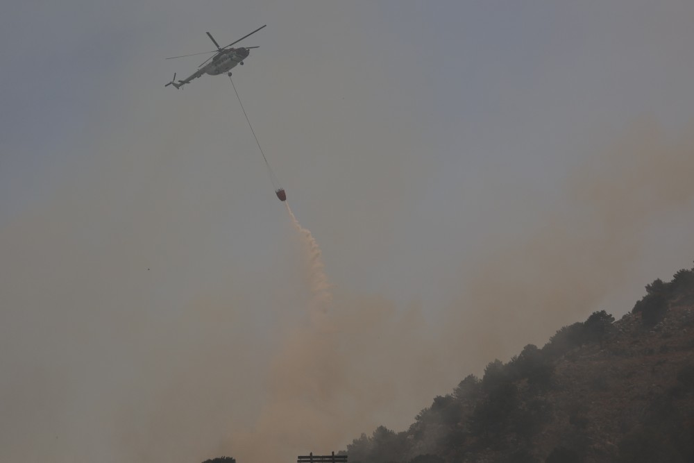 Φωτιά στα Αργυραίικα Πηλίου - Μάχη για να τεθεί υπό έλεγχο