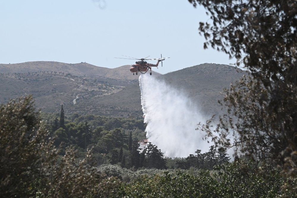 Πολύ υψηλός κίνδυνος πυρκαγιάς αύριο σε 7 περιοχές - Δείτε χάρτη