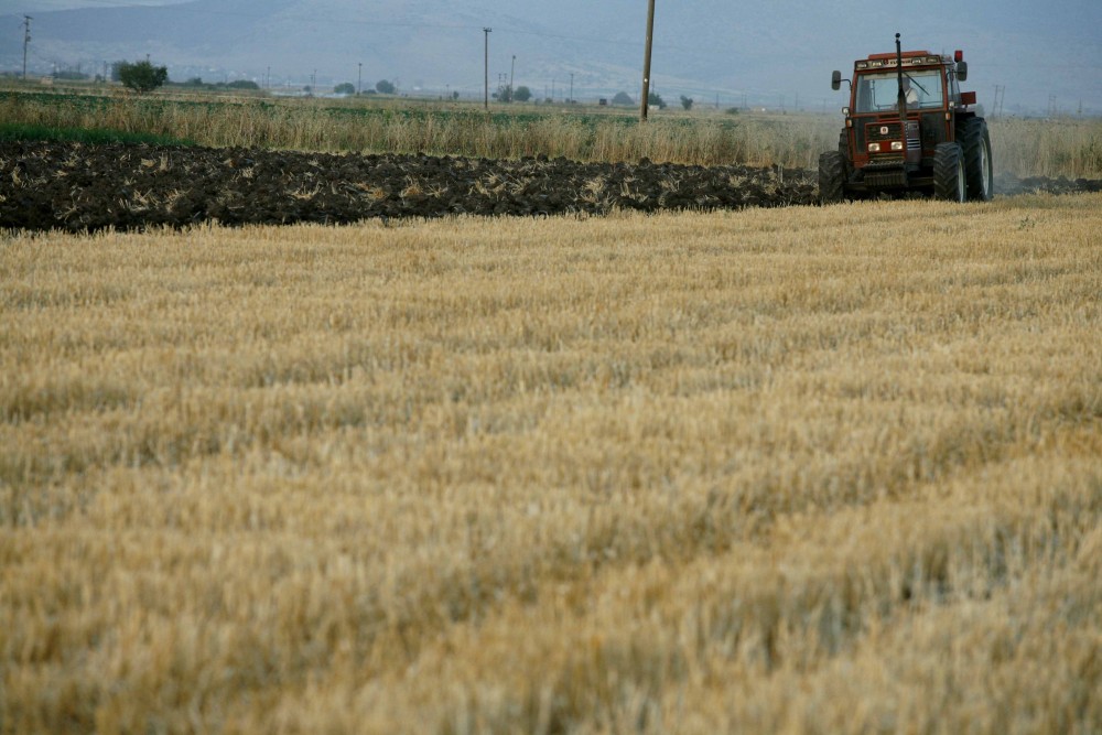 ΕΛΣΤΑΤ: αύξηση 30,6% στα αγροτικά εισοδήματα τον Ιούνιο