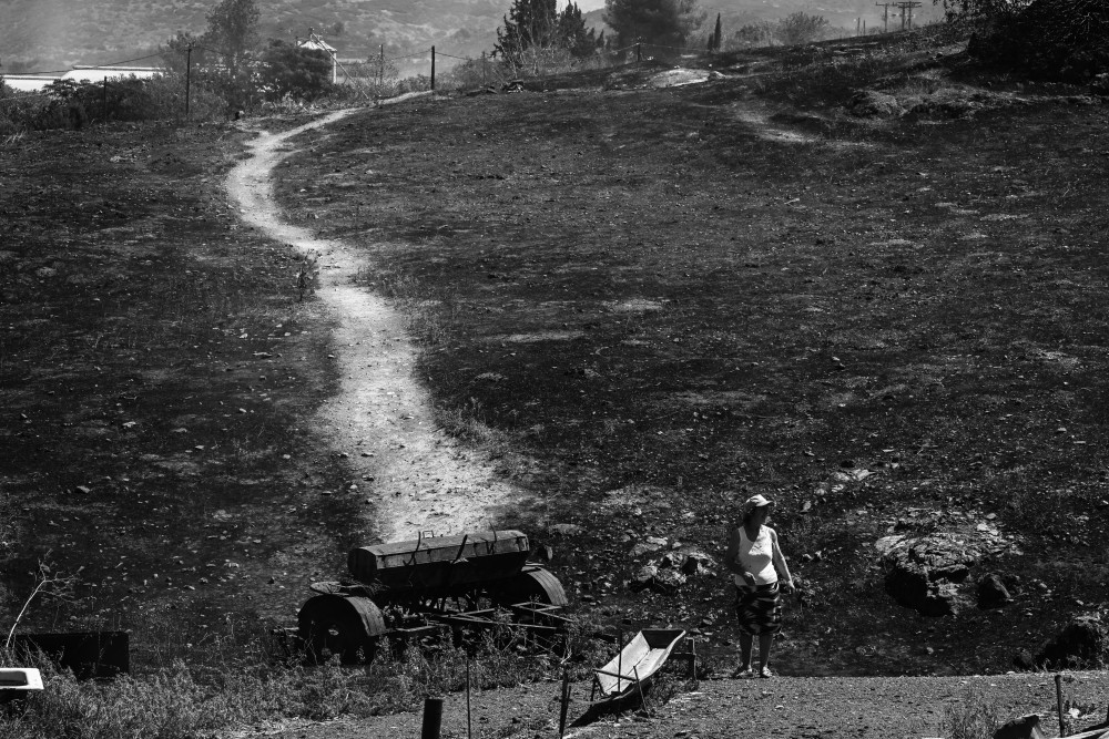 Φωτιές: χωρίς ενεργά μέτωπα στη Μαγνησία - Κάηκαν 50.000 στρέμματα γης