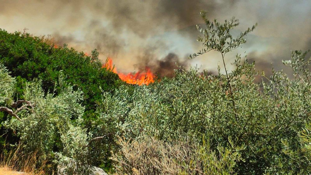 Φωτιές: μηνύματα του 112 σε Ροδόπη, Σαμοθράκη και Βοιωτία