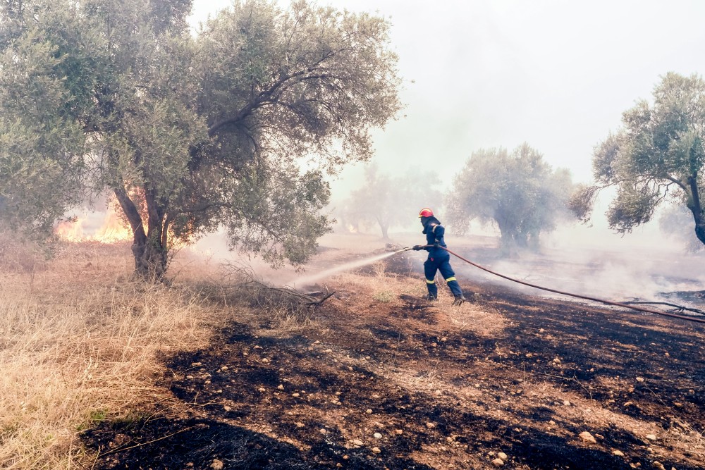 Σοβαρότητα και εθνική στρατηγική απέναντι στις πυρκαγιές