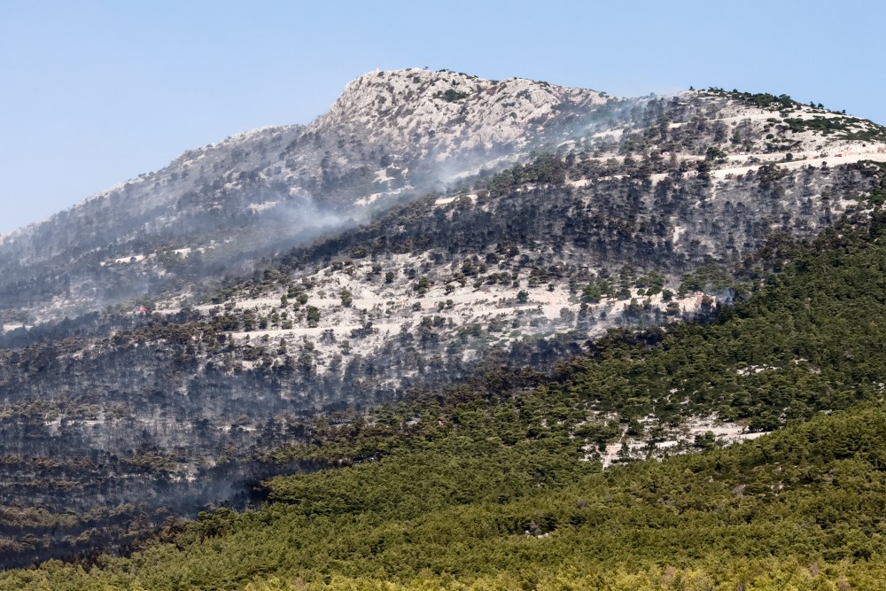 Φωτιές: «σαφάρι» για τους εμπρηστές-Τα ίχνη στα αποκαΐδια