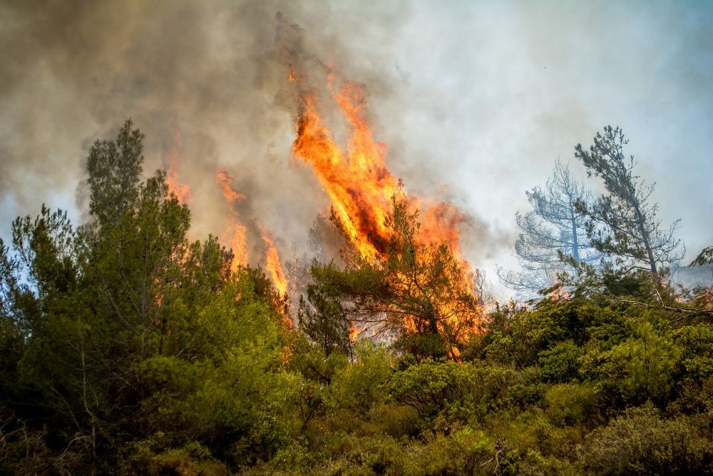 Φωτιά στην Αιτωλοακαρνανία - Εστάλη μήνυμα από το 112