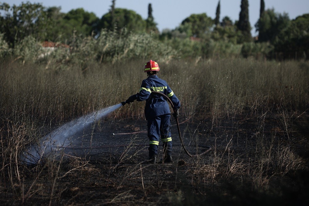 Υπό μερικό έλεγχο η φωτιά στον Κάμπο Λακωνίας