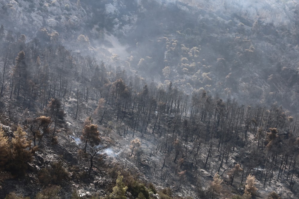 Προς ένα άλλο μοντέλο διαχείρισης των δασών - Ανακοινώσεις από τον πρωθυπουργό αύριο στη Βουλή