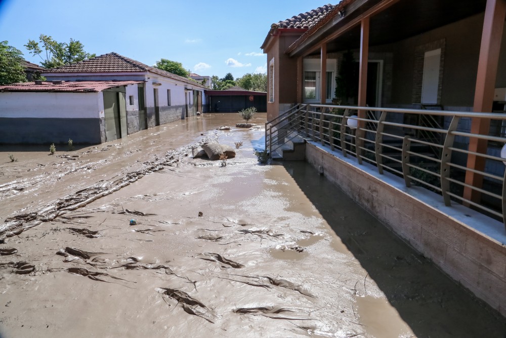 Βρήκαν την ευκαιρία οι φυλές της λάσπης