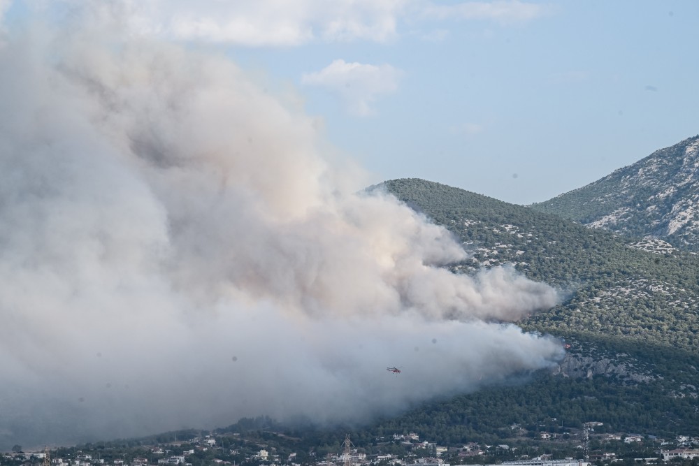 Ίδρυμα Αθανάσιος Κ. Λασκαρίδης: 2,1 εκατ. ευρώ για την αποκατάσταση της Πάρνηθας