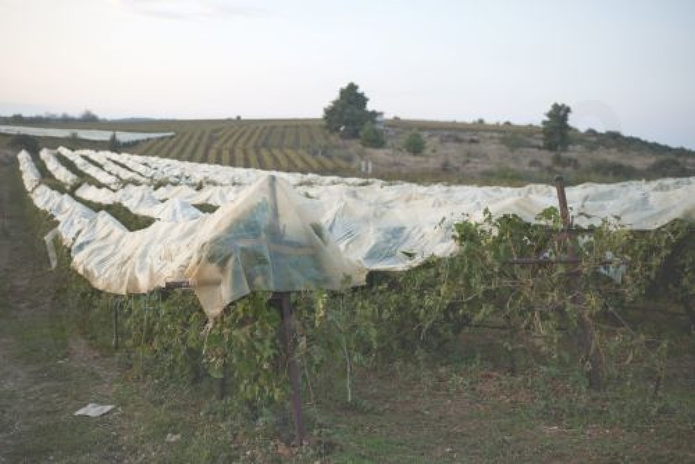 Χρηματοδότηση 26,9 εκατ. ευρώ προς τους ΟΤΑ για τις επιπτώσεις από φυσικές καταστροφές