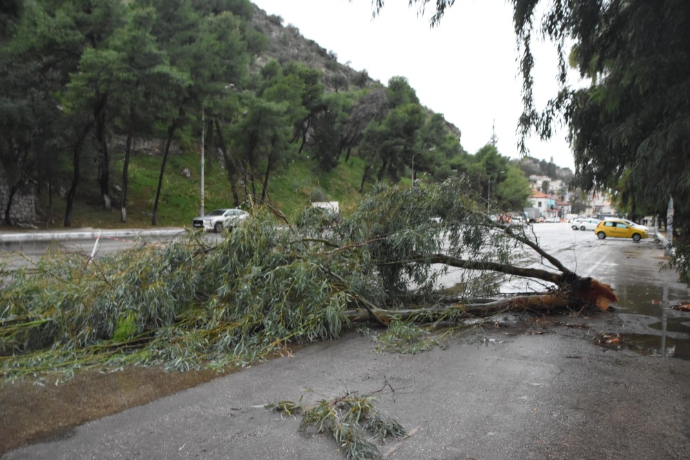 Κέρκυρα:  χαλάζι και πτώσεις δέντρων από κεραυνούς