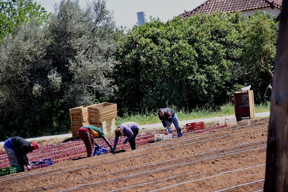 Υπουργεία Εργασίας και Μετανάστευσης: Μπαίνει τάξη στην αταξία, συνδέεται παραμονή με εργασία