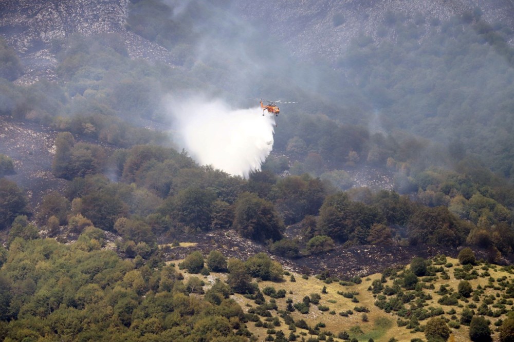 Πυρκαγιά σε δασική έκταση κοντά στο Βαρικό Φλώρινας