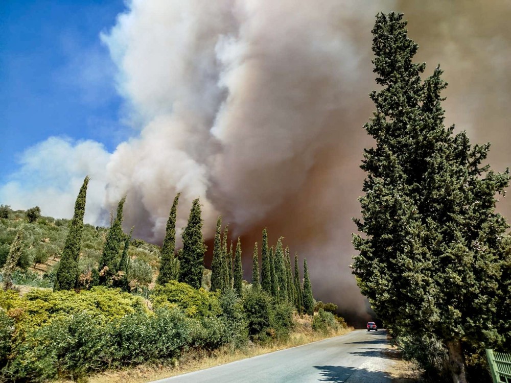 Φωτιά στα Χανιά: εκκενώνονται σπίτια και ξενοδοχεία στον Πλατανιά - Νέο 112