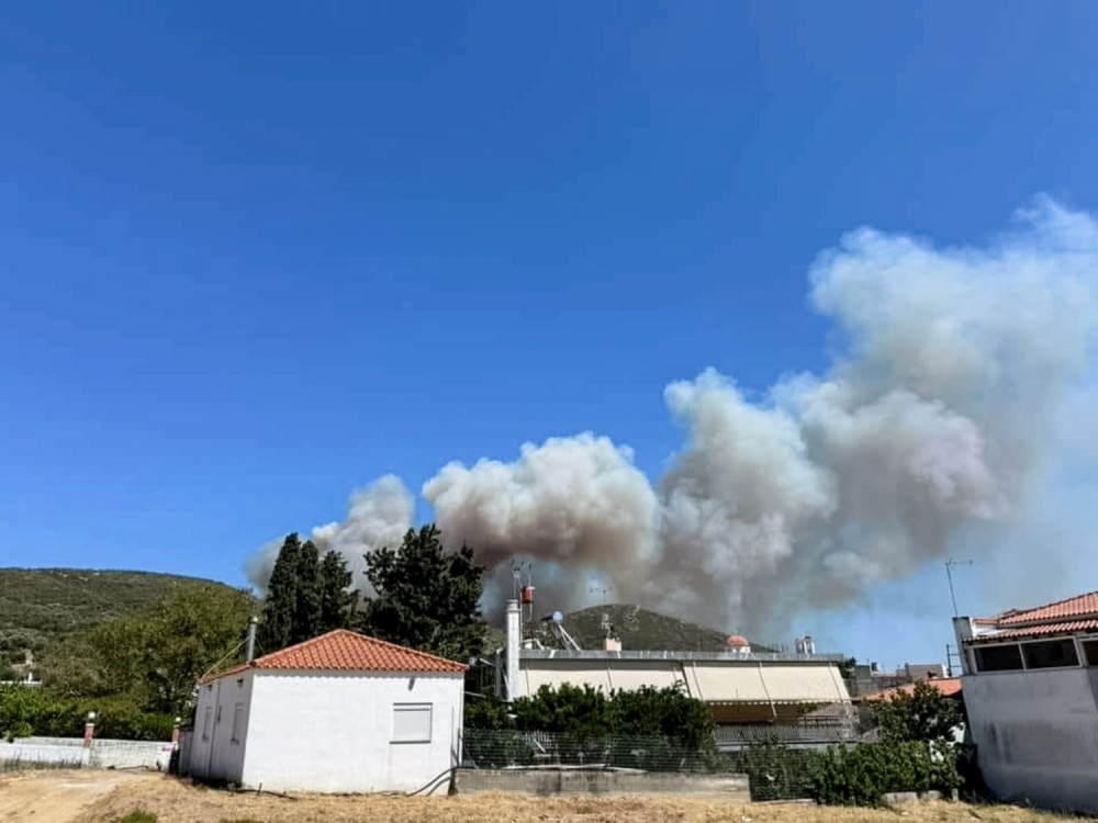 Συνελήφθησαν 2 νεαροί για την φωτιά στην Άνω Γλυφάδα