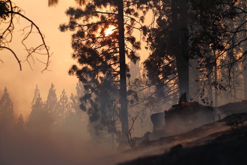 Park Fire: εκατοντάδες χιλιόμετρα δασών έγιναν στάχτη στην Καλιφόρνια - Ανεξέλεγκτη η πυρκαγιά