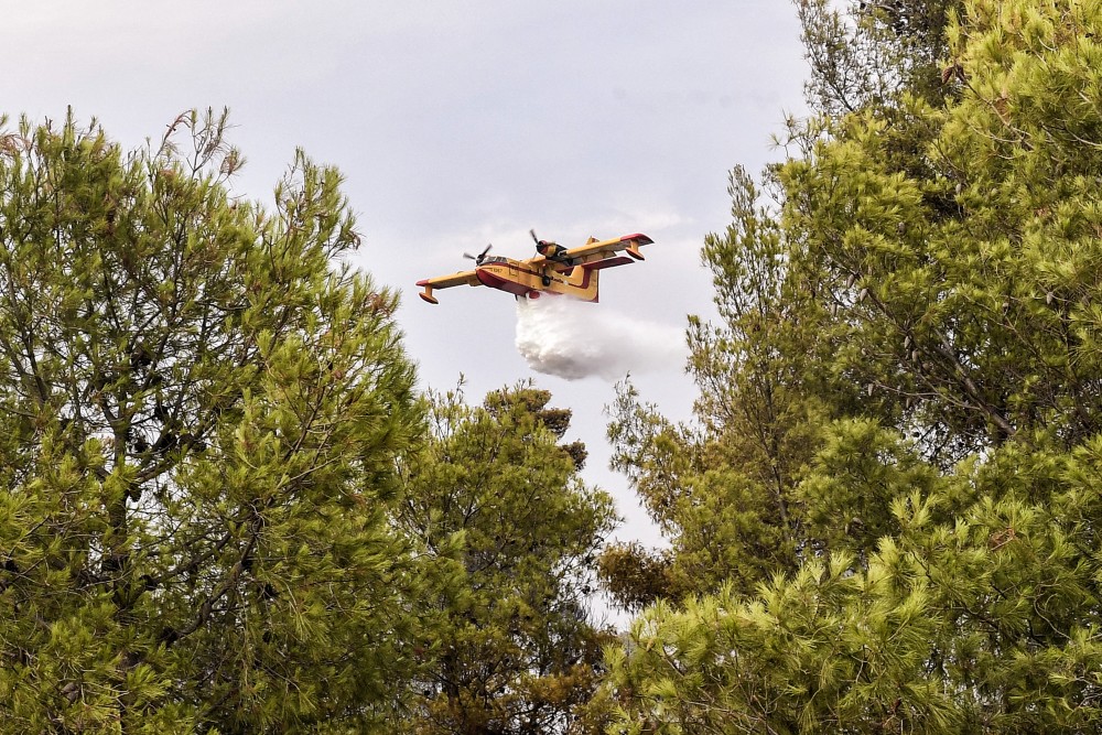 Σε εξέλιξη η πυρκαγιά στη Νέα Σάντα Ροδόπης