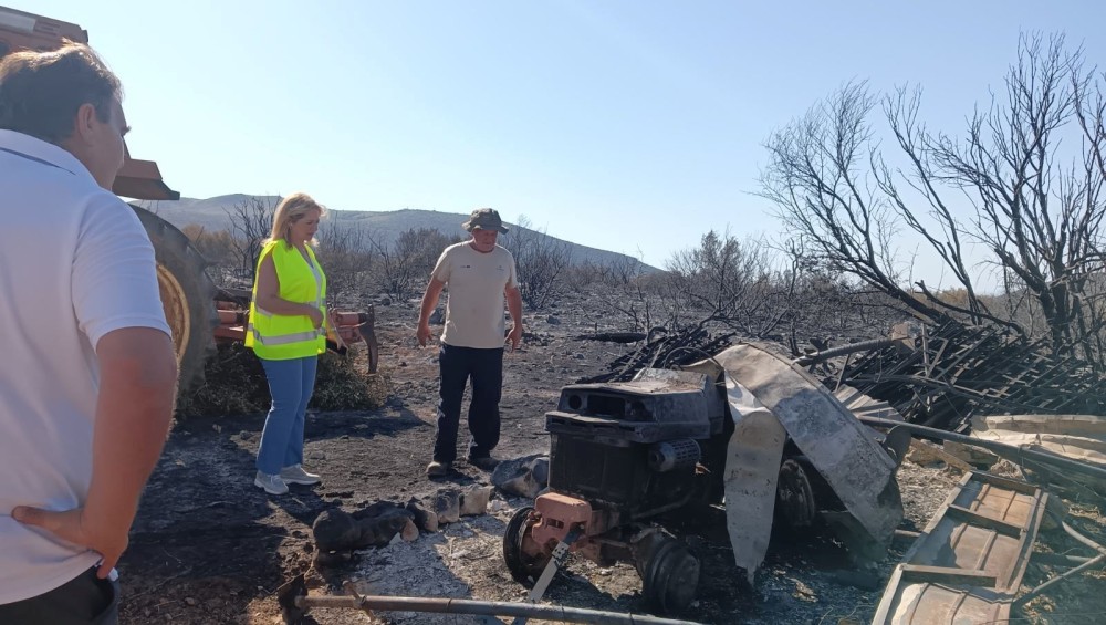 Φωτιά στην Αττική: ολοκληρώθηκε η αυτοψία στις πυρόπληκτες επιχειρήσεις