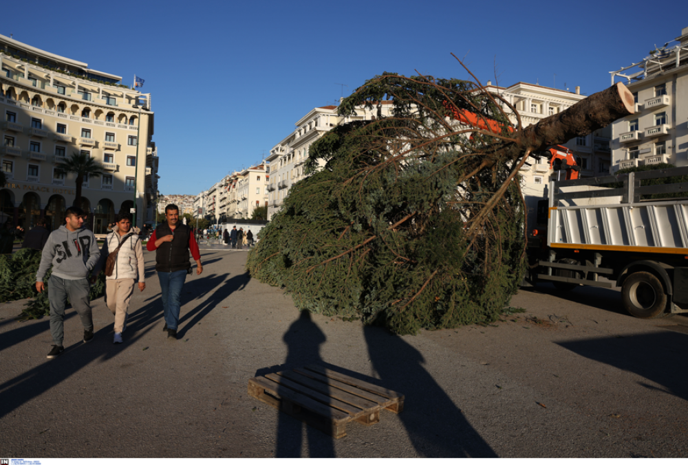 Θεσσαλονίκη: ανακυκλώνονται 6.000 χριστουγεννιάτικα δέντρα