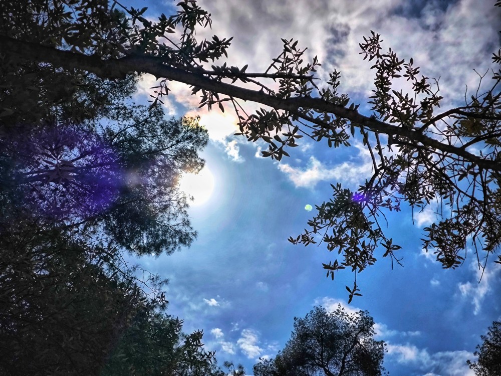 Ζέστη, αφρικανική σκόνη και ομίχλη - Η πρόγωνση Μαρουσάκη για τις επόμενες μέρες