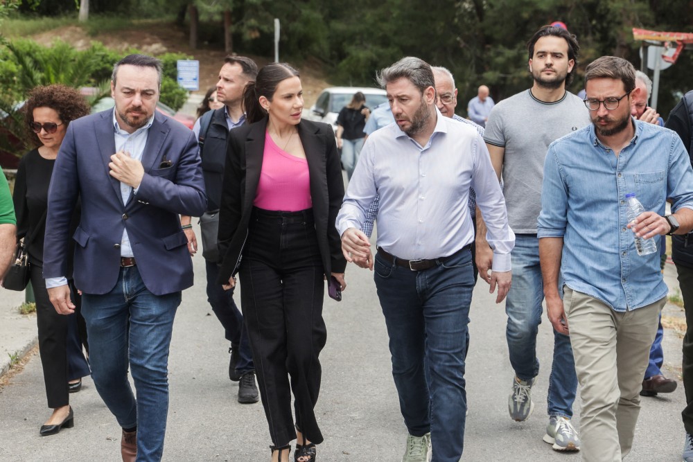 Ανδρουλάκης, η αντιπολίτευση που εύχεται ο Μητσοτάκης