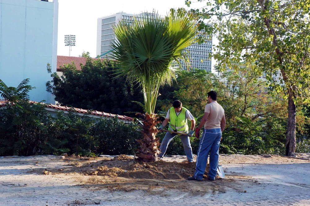 Με αλματώδη ρυθμό ο καθαρισμός των οικοπέδων