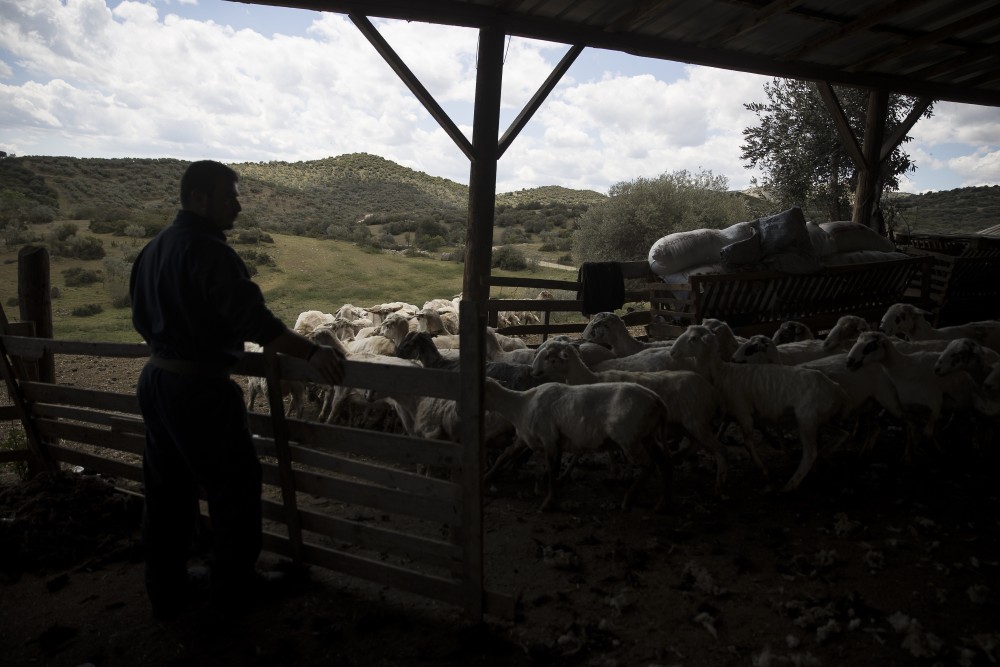 ΥΠΑΑΤ: Νέα εποχή διαφάνειας και αναδιοργάνωσης στον ΟΠΕΚΕΠΕ