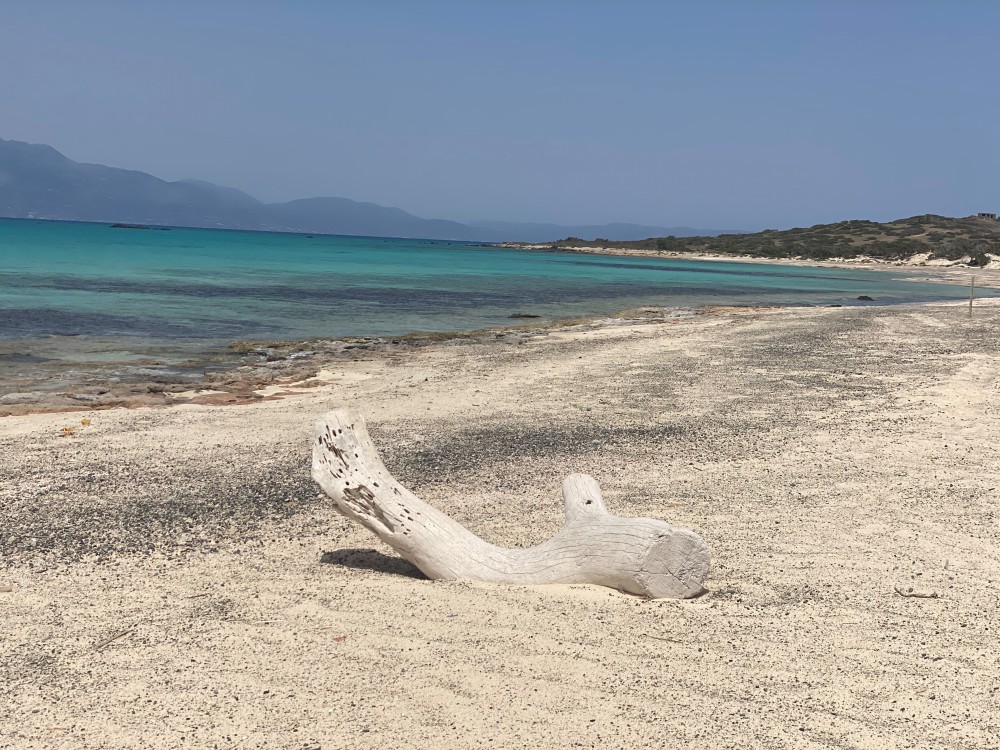 Πώς το νησί Χρυσή στην Κρήτη έγινε ιδιόκτητο επιδοτούμενο βοσκοτόπι, μέσω ΟΠΕΚΕΠΕ